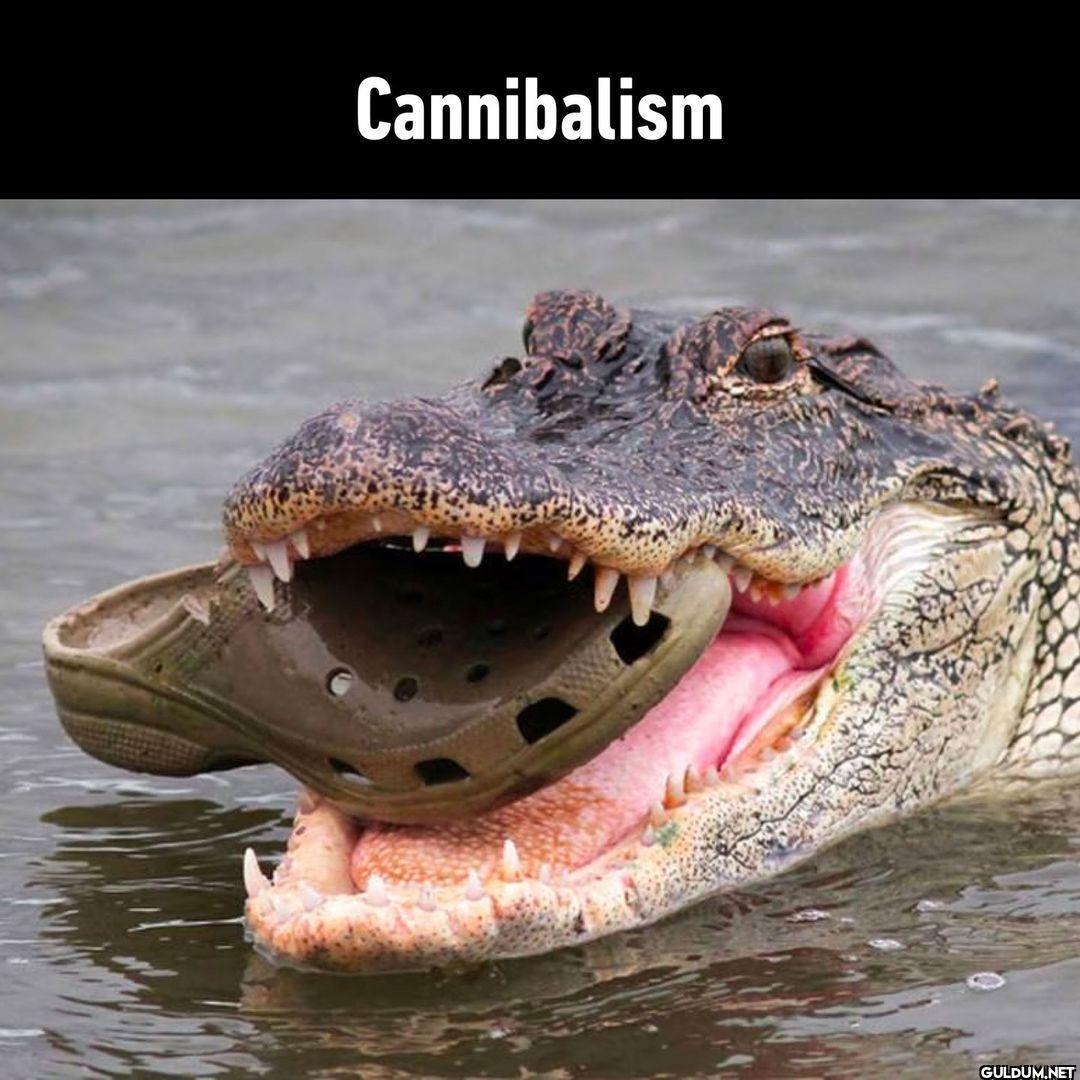 Croception  - #crocs...