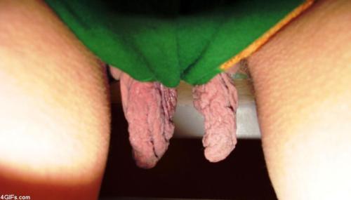unusual-women-lover:  Women with cunt flaps like these need to know that there are men who find it attractive.