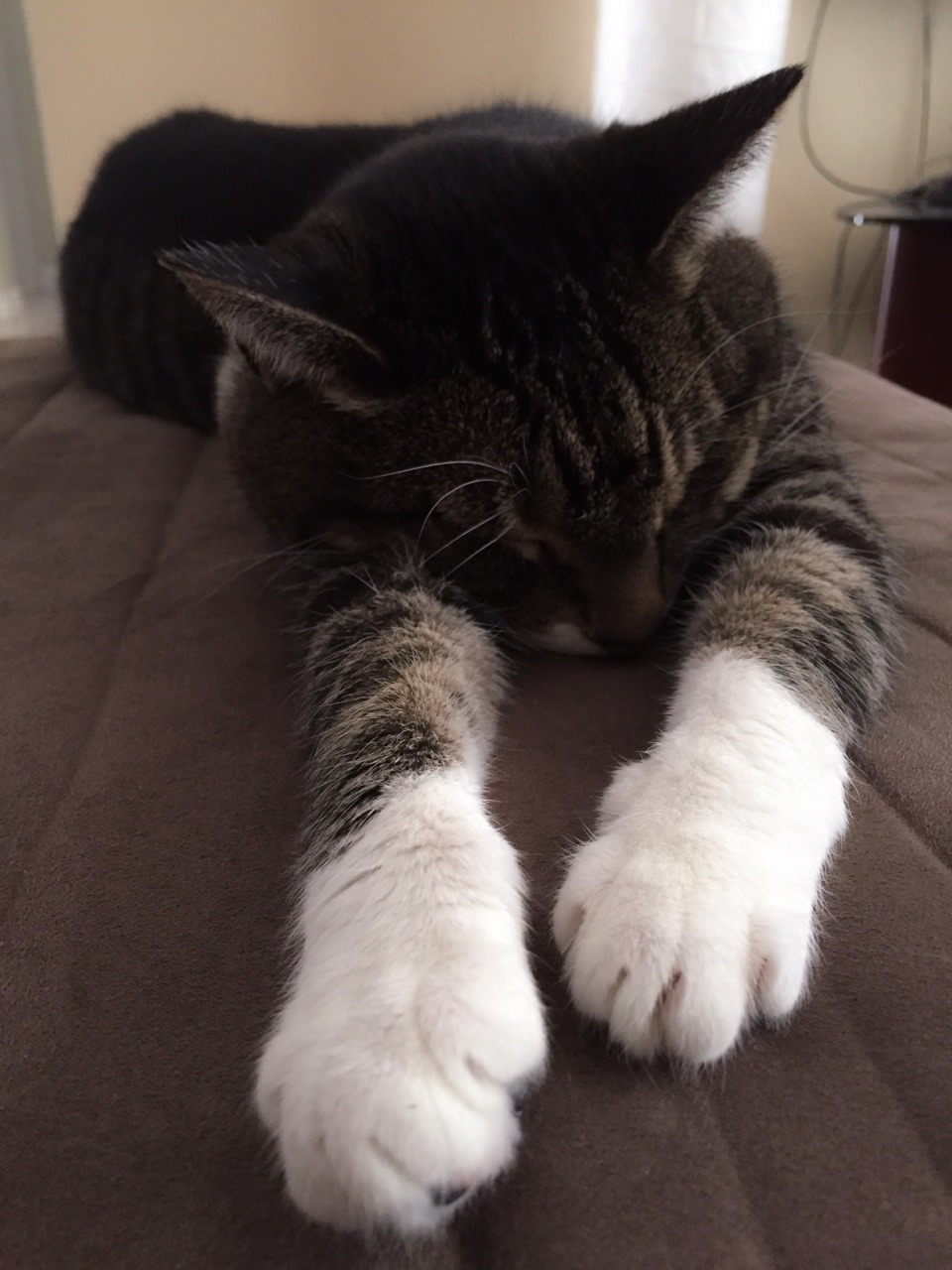 ttoshio:Queen Elizabeth is exhausted tooo!!