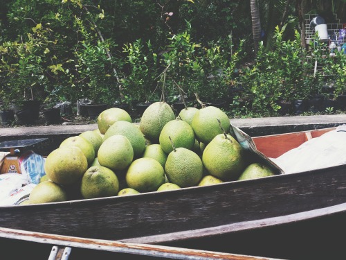 televisionofnomads:  Thailand’s Green Fruits
