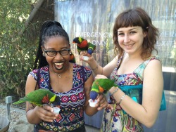 adultinsect:  lorikeets w/ my main beyonce-huxtable  Really serving up looks today