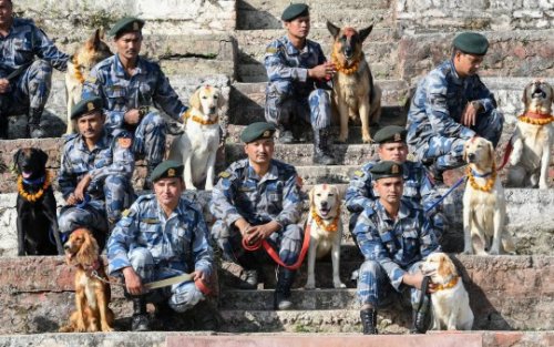hinducosmos:Kukur Puja: The Day of the Dog festival in NepalIt’s called Tihar, and is the Nepalese w