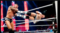 rwfan11:  Orton and Punk …nothing like