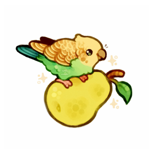 spicymochi:  pear-akeet