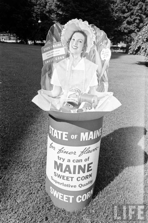 Maine(Alfred Eisenstaedt. 1938)