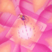 sailormoonaddicted:
