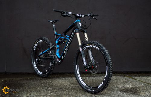 Specialized Enduro S-Works