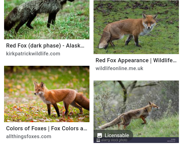 Fundy, Foxes of Gaming Wiki