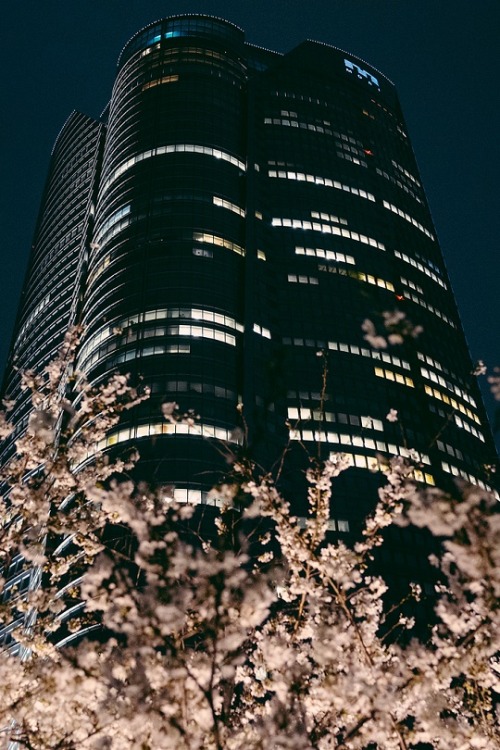 livingpursuit:  Roppongi, Tokyo by Giovanni Pascarella
