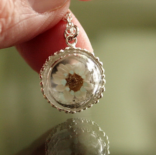 wickedclothes:  Glow In The Dark Daisy Necklace A real daisy is held inside of this glass dome. The daisy’s petals glow in the dark for up to nine hours and can be charged an infinite amount of times. Hung on a bronze or silver-plated chain. Sold on