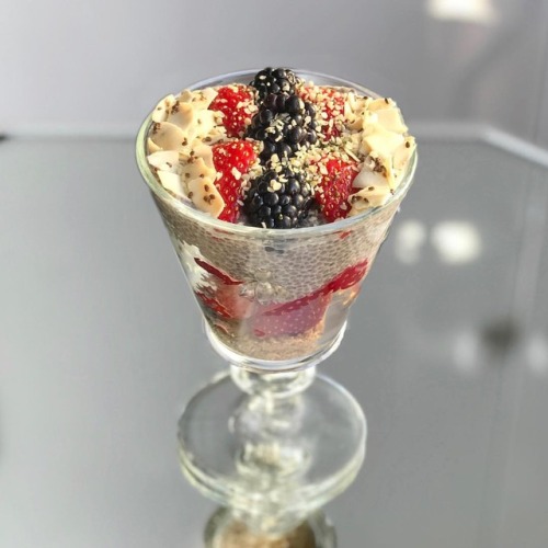 Chia pudding with berries, @manitobaharvest hemp seeds, @baresnacks coconut chips and @mammachia chi