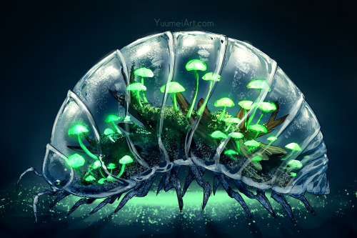 yuumei-art:Worlds Within: Pill Bug Terrarium  Bioluminescent mushrooms are just magical~ I hope to s