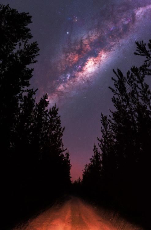 satakentia:   Milky Way at Dawesville & Jarrahdale PinesWest Coast, Australia  by Trevor Dobson