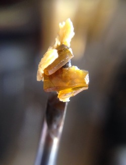 cpe420:  Pure Extracts TangieDream shatter and Platinum Bubba crumble