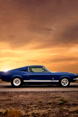 h-o-t-cars:    Ford Mustang Shelby Gt500