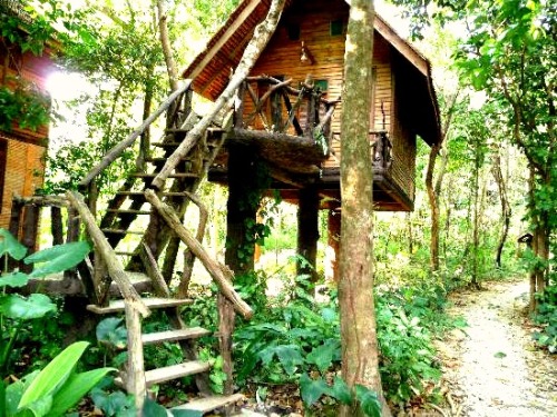 cherry-kiddo:  south-pacific:  >> personal & tropical <<   Send me “coconut” for blo