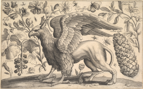nemfrog:A Griffin. After Wenceslaus Hollar. 1625-77. Etching.MetMuseum
