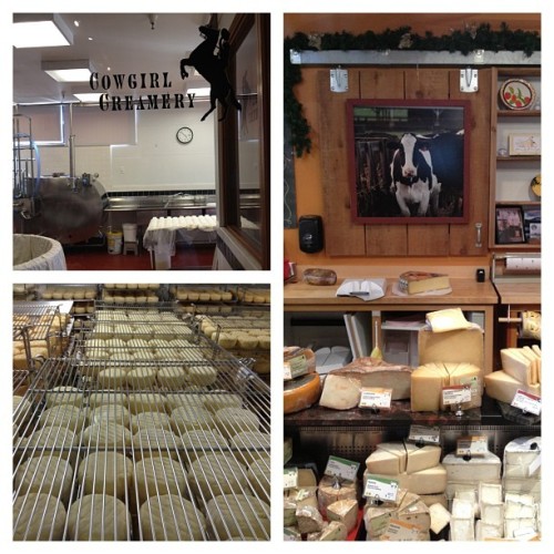 Visit to cowgirl creamery in point Reyes station. Love their washed rind, red hawk, and wagon wheel.