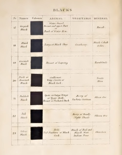 nobrashfestivity:   Patrick Syme, Charts for Werner’s Nomenclature of Colours: Adapted to Zoology, Botany, Chemistry, Mineralogy, Anatomy, and the Arts, 1821 Via brainpickings 