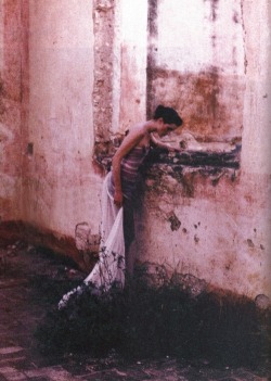 hpnle:  deborah turbeville 