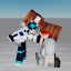 wins8642