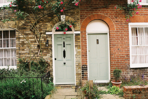 Blog image