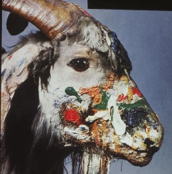 taxidermy-in-art:Robert Rauschenberg, Monogram