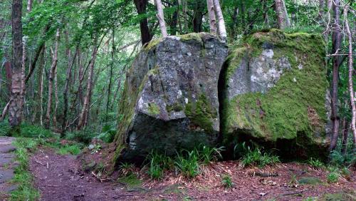 yorksnapshots:A Mossy Boulder.