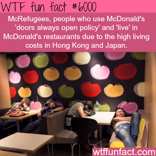 evilguacamole:  wtf-fun-factss:    McRefugees - WTF fun facts     This isn’t fun at all. 