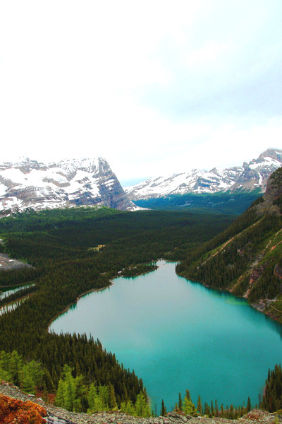 earthdaily: Lake Ohara by g8trgr8t