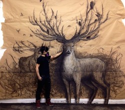 cumber-porn:  archiemcphee:  Vancouver-based art student Fiona Tang creates large-scale trompe l’oeil drawings of animals that appear to burst forth from the paper upon which they were so expressively rendered. She uses a variety of materials to create