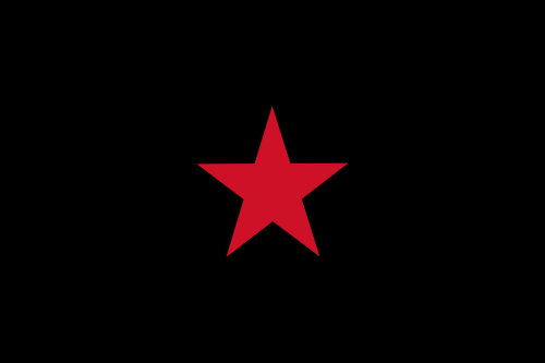 originalgiantcontent: Zapatistas, defending the civil rights of the local indigenous people since 19