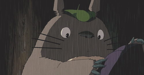  My Neighbor Totoro (1988) 
