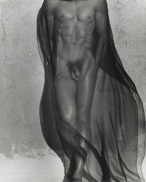 mysomethingtoremember: “Male Torso with Veil” by Herb Ritts - 1985 Themed Thursday, 06-sept-2018Ever