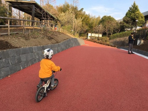 hm7:区民公園が一部きれいになってたよ。 (しながわ区民公園)