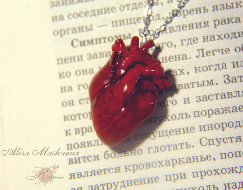 geekgirlsmash:  the-underwoodwriter:  ex0skeletal:  Anatomical Heart Jewelry by Krinna on deviantART  I need a lapel pin version of these. That way I can wear my heart on my sleeves.  She has an Etsy shop. 