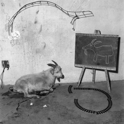 theories-of:  Roger Ballen School Room