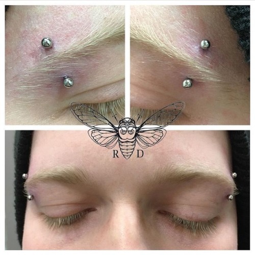 Paired #eyebrow #piercing by my lovely #apprentice @raydan05 she is looking for volunteers for #nost