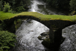 bluepueblo:  Moss Bridge, The Enchanted Wood photo via glynn 