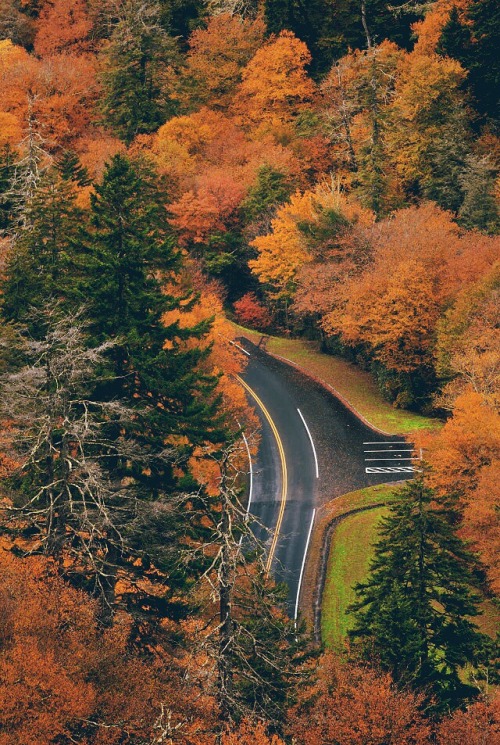 autumnauspice: 30 days until autumn. 