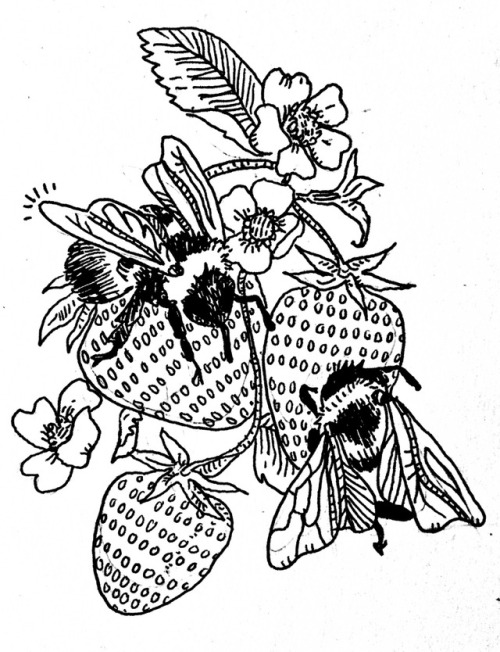 poeticsuggestions: Bees and strawberries. Finished tattoo commission for a friend.  (C.B)(8.16.18)
