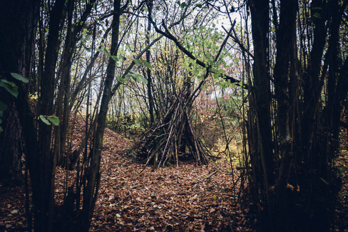 Let’s build a fort in the woods.