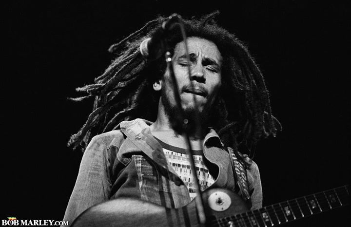 littlepicklejar:  BOB 