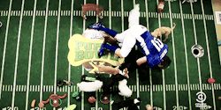 beeishappy:  TCR | 2014.01.29 Puppy Bowl Halftime 
