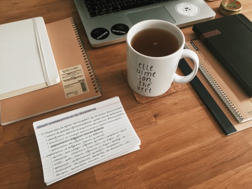 delphicoracle:saturday mornings were created so you can catch up on all the work you didn’t do