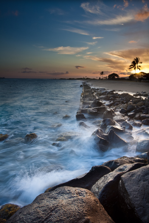 wowtastic-nature:   Utile by Zend99 on DeviantArt