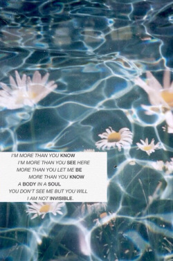 Shelter-me