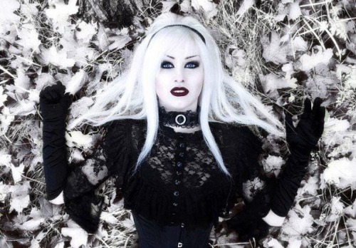 Elegance in Darkness
