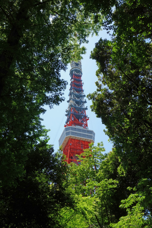 ninetail-fox: Tokyo Tower