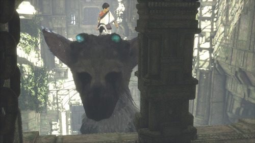 streetsahead99:  The Last Guardian (PS4, porn pictures